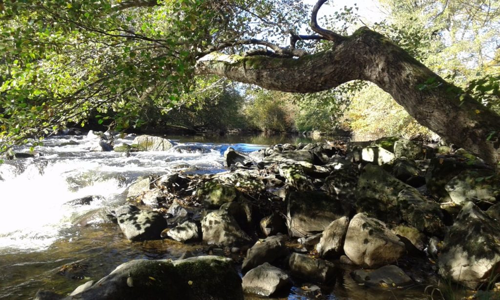 chambres dhotes nature séjour gite auvergne